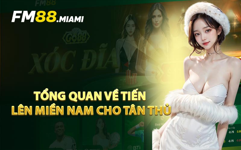 Tổng Quan Về Tiến Lên Miền Nam Cho Tân Thủ